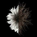 V5H4F6C68948B6ADA165E7B530CCE988CC6R6239565P3