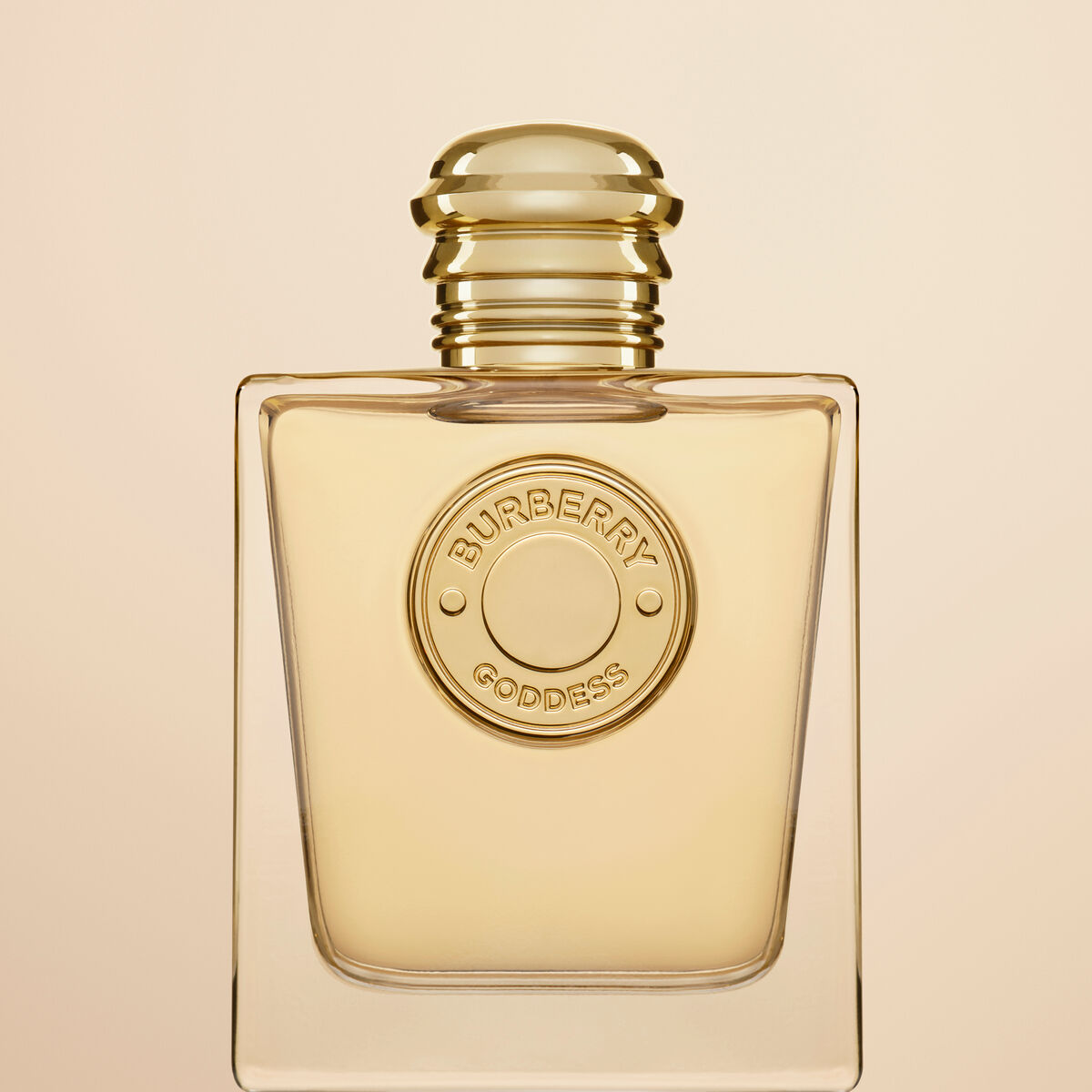 V6H56AA093315B596393A6707AC118B179AR5318353P8