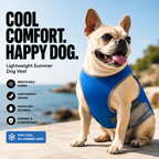 Lightweight summer dog vest in blue with breathable mesh fabric, worn by a happy dog outdoors near the seaside. The cooling pet vest features a comfortable adjustable fit, quick-dry material, and lightweight design for warm weather walks.